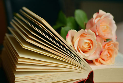 book_rose